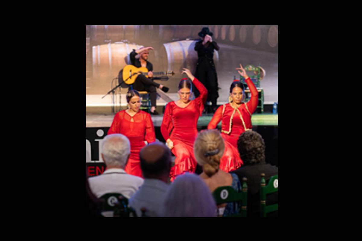 Mi Caseta Flamenco Show